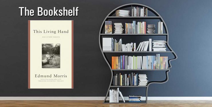 Bookshelf Living Hand Jefferson Essay