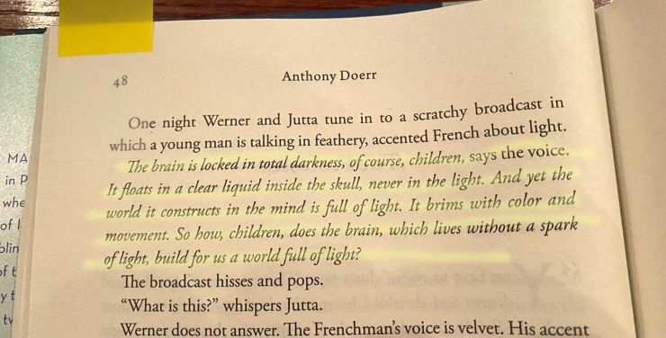 Effektivitet vært zebra All The Light We Cannot See - By Anthony Doerr: Book Review
